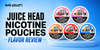 Juice Head Pouches Review